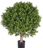 Kunstplant Buxus bol 60cm, Ø45cm - UV bestendig